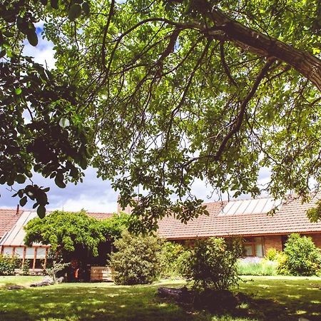 Posada Los Mimbres Gaiman Dış mekan fotoğraf