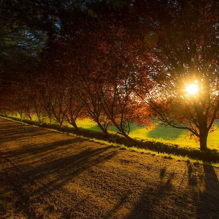 Posada Los Mimbres Gaiman Dış mekan fotoğraf