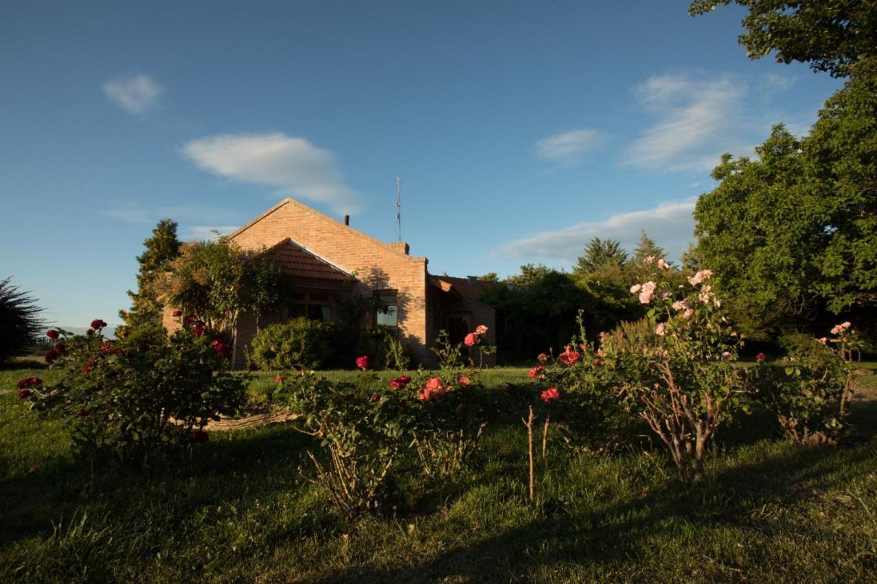 Posada Los Mimbres Gaiman Dış mekan fotoğraf